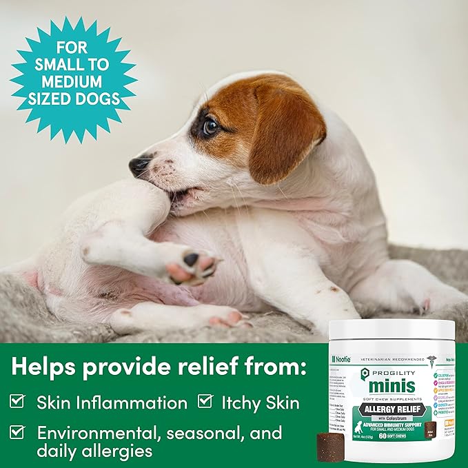 Nootie Progility Mini Allergy Relief Supplement, Itch Relief Supplement for Dogs, 60 Soft Chews per Container