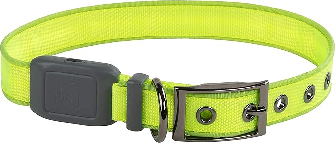 Nite Ize NiteDog Rechargeable LED Collar - Light Up Dog Collar with Durable Metal Buckle - Water-Resistant & Rechargeable Collar - Dog Supplies for Night Activities - Large, Lime