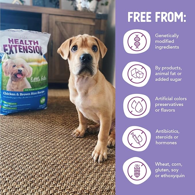 Health Extension Little Bites Dry Dog Food, Natural Food with added Vitamins & Minerals, Suitable for Teacup, Toy & Small Dogs, Chicken & Brown Rice Recipe (30 Pound / 13.6 Kg)