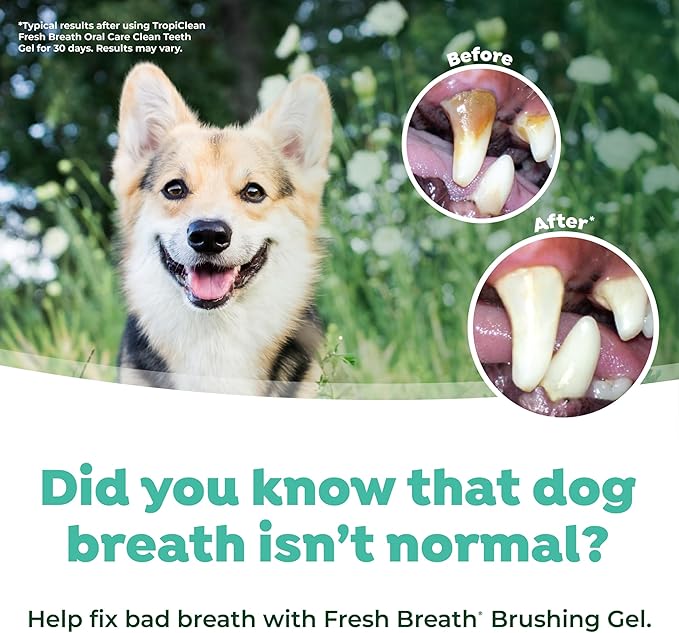 TropiClean Fresh Breath Dog Oral Care Kit for Large Dogs | Total Care System for Plaque & Tartar Control | Dog Tooth Brushing Kit for Large Dogs