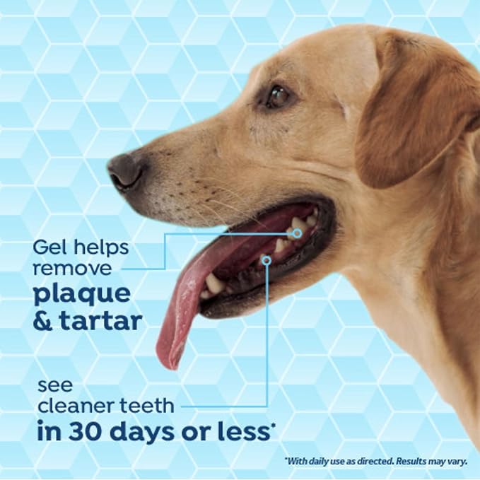 Fresh Breath Certified Wellness Collection Vet Strength Oral Care Kit for Small & Medium Dogs - Removes Plaque & Tartar - Freshens Bad Dog Breath - Teeth Cleaning Kit