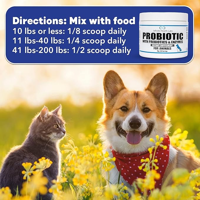 Probiotics for Dogs and Cats - Vet Formulated Pet Prebiotic & Enzyme Powder for Digestive, Gut & Immune Health - 200 Servings (50 g)
