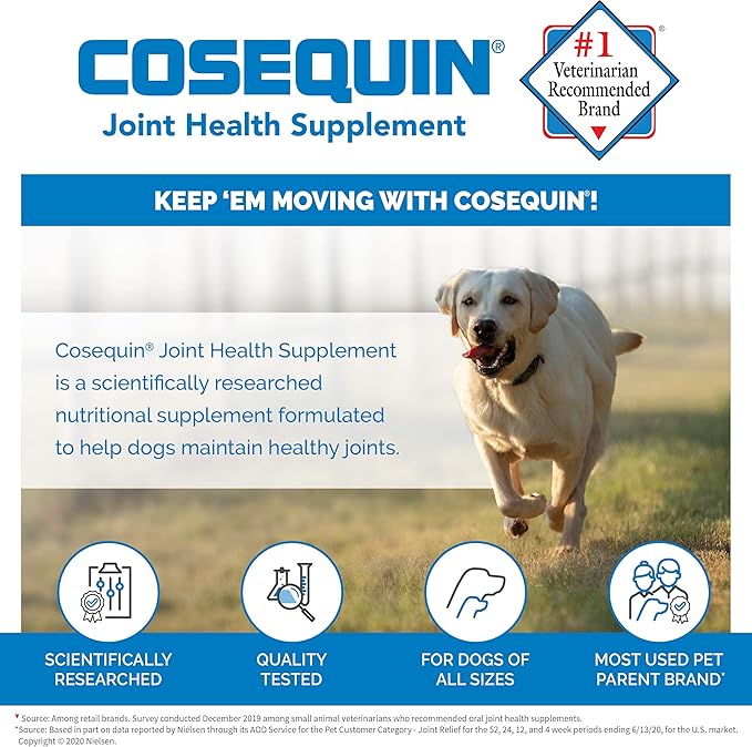 Nutramax Laboratories Cosequin Maximum Strength Joint Health Supplement for Dogs - With Glucosamine, Chondroitin, and MSM, 60 Chewable Tablets