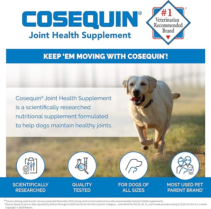 Nutramax Laboratories Cosequin Maximum Strength Joint Health Supplement for Dogs - With Glucosamine, Chondroitin, and MSM, 60 Chewable Tablets