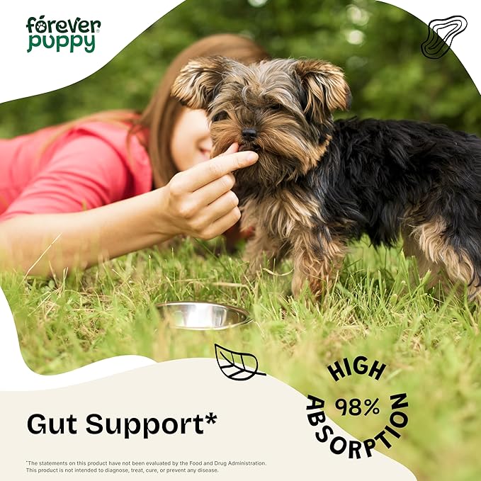 Slippery Elm Drops for Dogs - Gut Health Supplement w/Slippery Elm Bark - Soluble Fiber Digestive Drops for Dogs - Liquid Dog Vitamins and Supplements for Pet's Happy Tummy - 4 oz