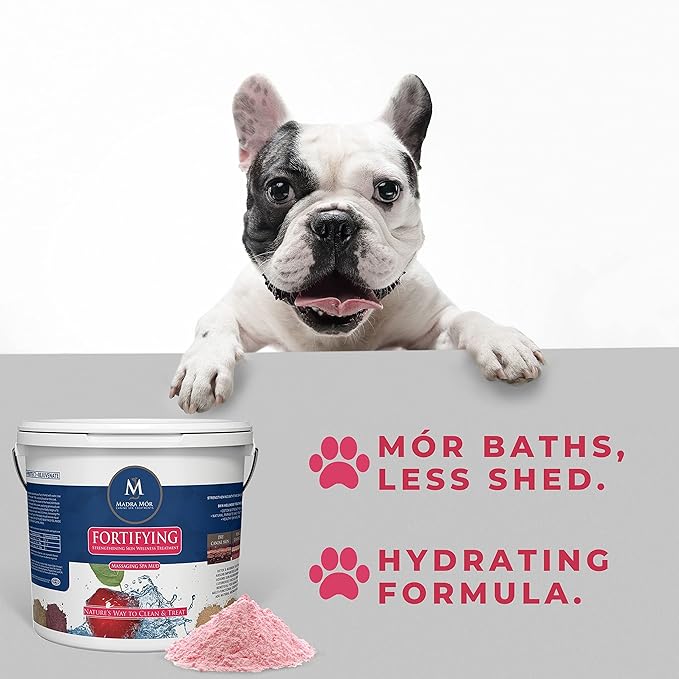 Madra Mor Dog Essentials Fortifying Spa Mud | Dog Wash | Dog Grooming | Dry Skin for Dogs Treatment | Dog Bath | Dog Coat Skin Care Products | 7.5lb Pail w Worldwide Nutrition Multi Purpose Key Chain