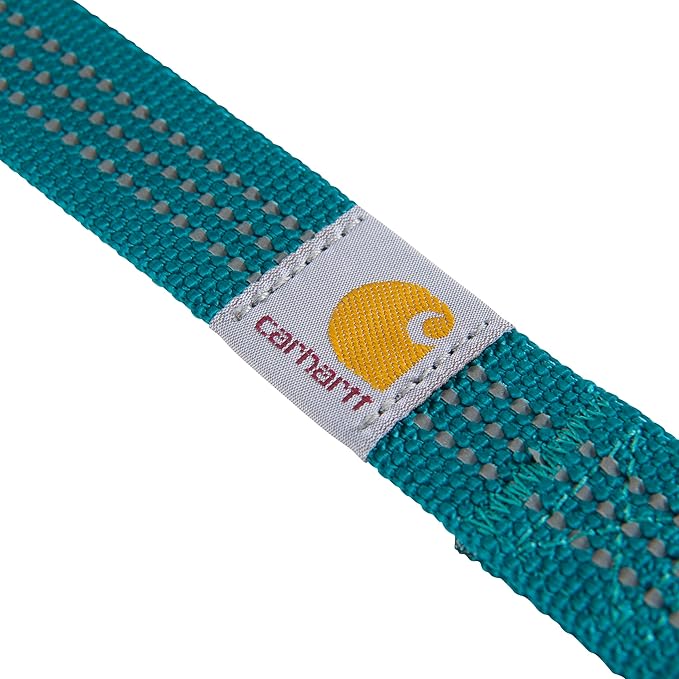 Carhartt Pet Durable Nylon Webbing Leashes for Dogs, Reflective Stitching for Visibility, Shaded Spruce, Large