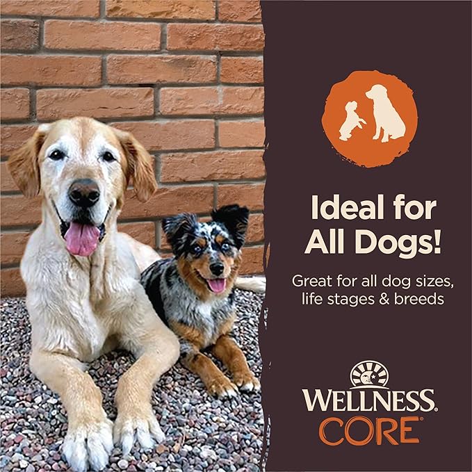 Wellness CORE Power Packed Dog Treats (Previously Pure Rewards), Grain-Free Tender Jerky Treats, Made in USA (Chicken & Lamb Recipe, 4-Ounce Bag)