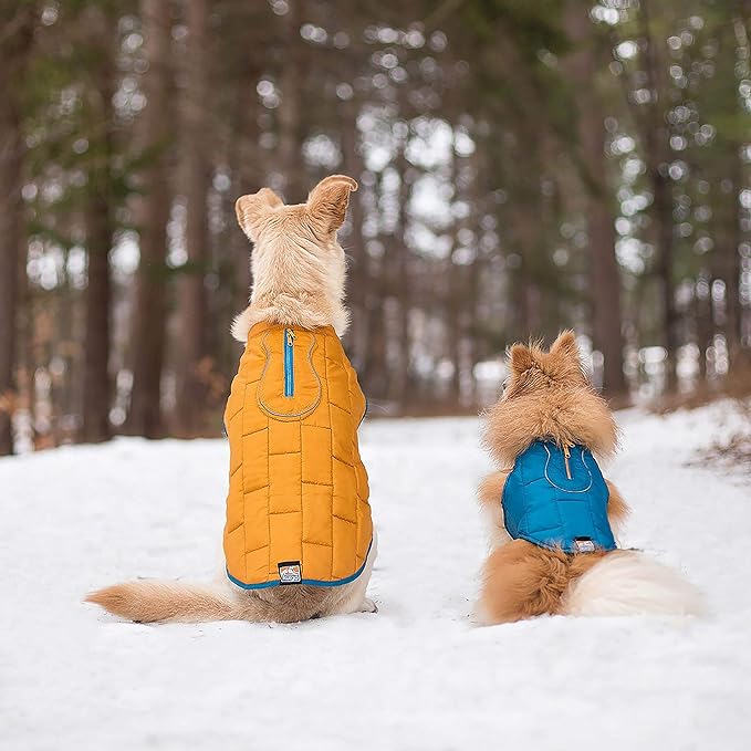 Kurgo Loft Dog Jacket, Reversible Winter Coat for Dogs, Reflective, Wear with Harness, Water Resistant, For Small Medium Large Pets (Coastal Blue, M)