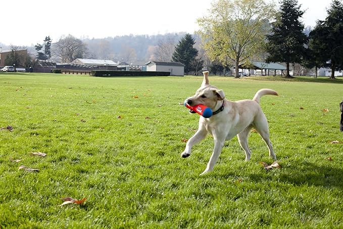 Chuckit! Amphibious Tumble Bumper Dog Toy, Floats on water,Large