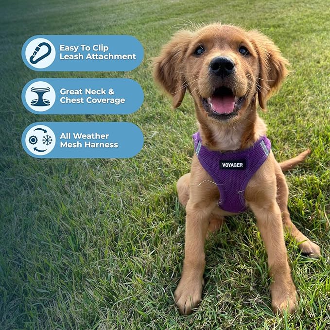 Voyager Step-in Air Dog Harness - All Weather Mesh Step in Vest Harness for Small and Medium Dogs and Cats by Best Pet Supplies - Harness (Purple), XL (Chest: 20.5-23")