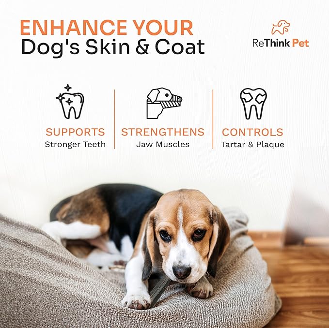 Dental Clean Sticks