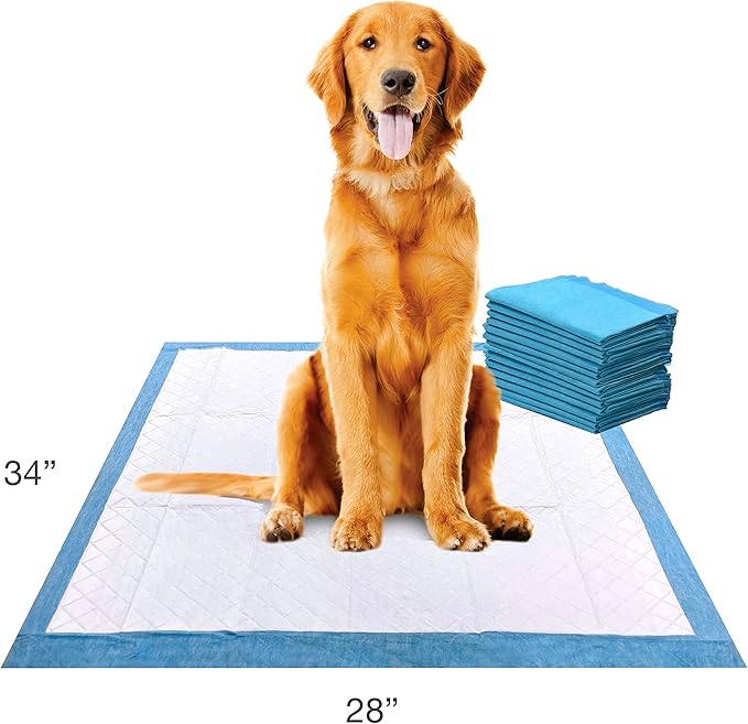 Four Paws Wee-Wee Superior Performance XL Pee Pads for Extra Large Dogs, Leak-Proof Floor Protection Dog & Puppy Quilted Potty Training Pads, Unscented, 28" x 34" (14 Count)