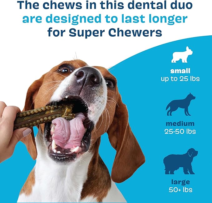 Bark Bright Durable Dental Chews Kit - Dog Tooth Brushing Treatment with Teeth Cleaning Chew Sticks & Toothpaste - Plaque & Tartar Remover for Cleaner Teeth & Fresh Breath - Small Breeds - 15 Chews
