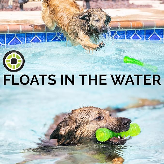 Hyper Pet DuraSqueaks Dog Toy Balls and Dog Chews (Squeaky Dog Ball For Interactive Play – Floating Dog Balls and Dog Toys) - Medium Stick