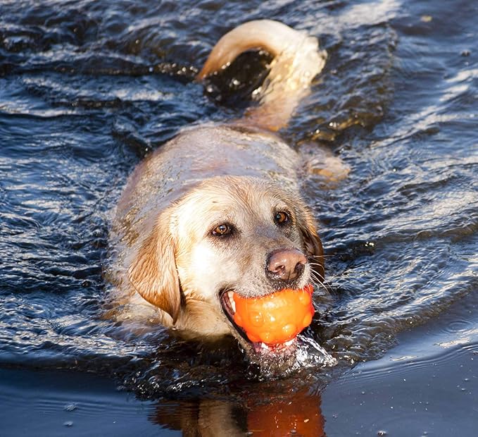 Jolly Pets Orange Jolly Jumper Ball Dog Toy 3 in