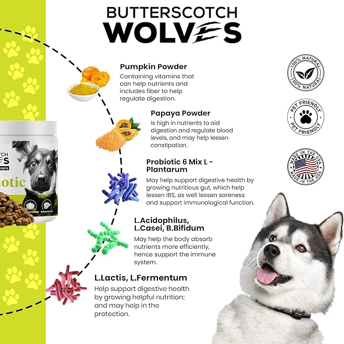 Probiotics for Dogs Supplement | Digestive and Immune Health Support Dog Vitamins with Probiotic Blend and Pumkin Powder | Approximately 120 Probiotic Chews for Dogs