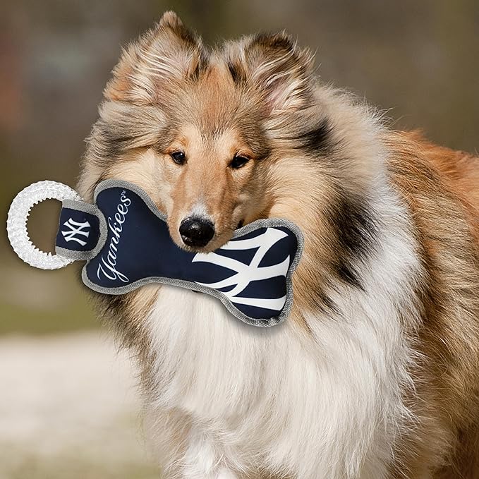 MLB New York Yankees Bone Shaped Dental Dog TUG Toy with Squeaker. Tough PET Toy for Healthy Fun, Teething, and Cleaning pet's Teeth and Gum.