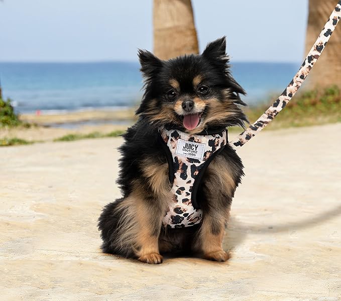 Juicy Couture Leopard Print Dog Harness and Leash Set β Adjustable Puppy Harness with Puppy Leash & Mesh Padding Dog Harness, X-Small