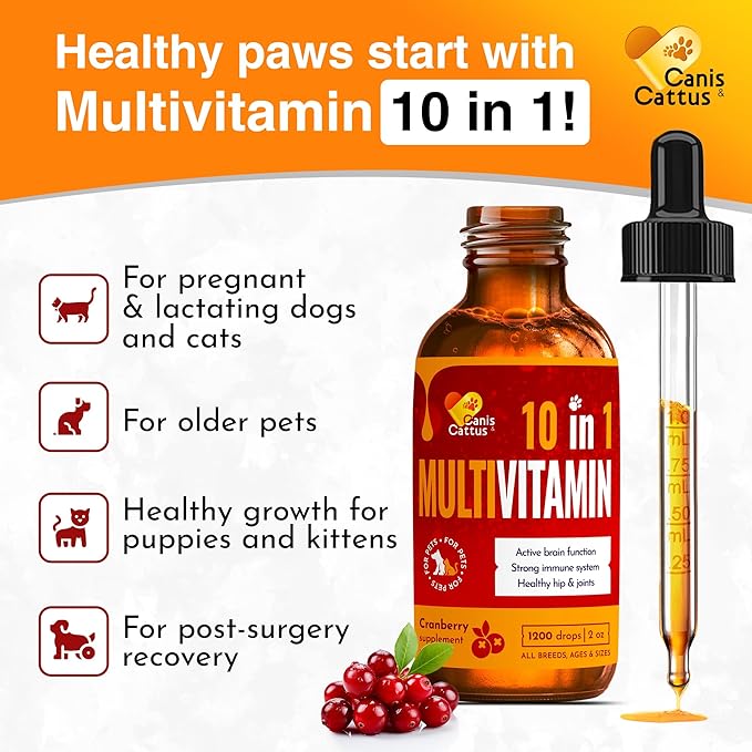 Multivitamin for Dogs | Cat Multivitamin | Dog Vitamins and Supplements | Cat Supplements & Vitamins | Dog Supplements & Vitamins | Pet Honesty Multivitamin 10-in-1 | Vitamins for Dogs | 2 Pack