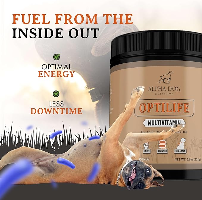 OptiLife Multivitamin for Adult Dogs - Contains Probiotics, Allergy Support, Joint Support, Muscle Recovery, and Skin & Coat Support - Powder Supplement (60 Servings)