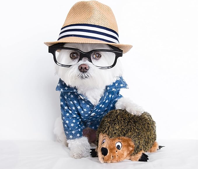 Outward Hound Hedgehogz Plush Dog Toy, Small