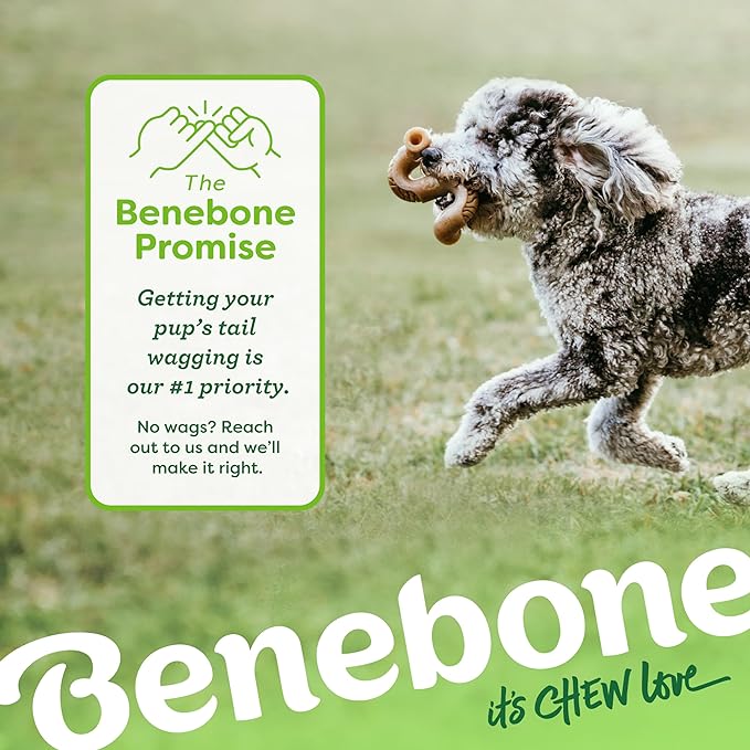 Benebone Tiny 2-Pack, Tripe Bone Durable Dog Chew Toy for Aggressive Chewers, Real Tripe, Made in USA