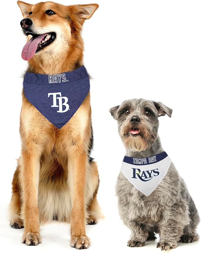 Pets First RAY-3217-S-M MLB Dog Bandana - Tampa Bay Rays Reversible Pet Bandana, Small/Medium, MLB Team Color