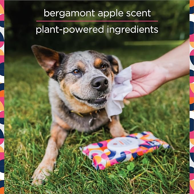 Pet Wipes for Dogs, Dog Cleaning Wipes - Plant-Based Dog Wipes with Moisturizing Aloe Leaf & Calendula - Made in The USA - Bergamot Apple Scent Dog Grooming Wipes - 40ct (Pack of 3)