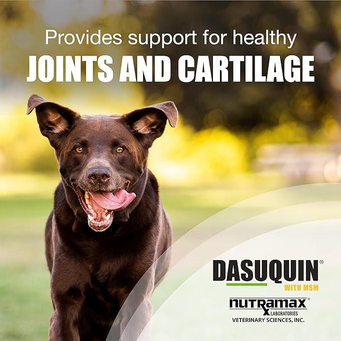 Nutramax Dasuquin with MSM Joint Health Supplement for Large Dogs - With Glucosamine, MSM, Chondroitin, ASU, Boswellia Serrata Extract, and Green Tea Extract, 84 Chewable Tablets