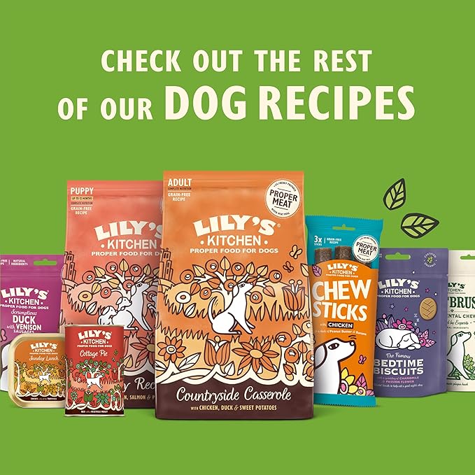 Lily's Kitchen Proper Dry Dog Food Organic Chicken & Vegetable Bake (1Kg)
