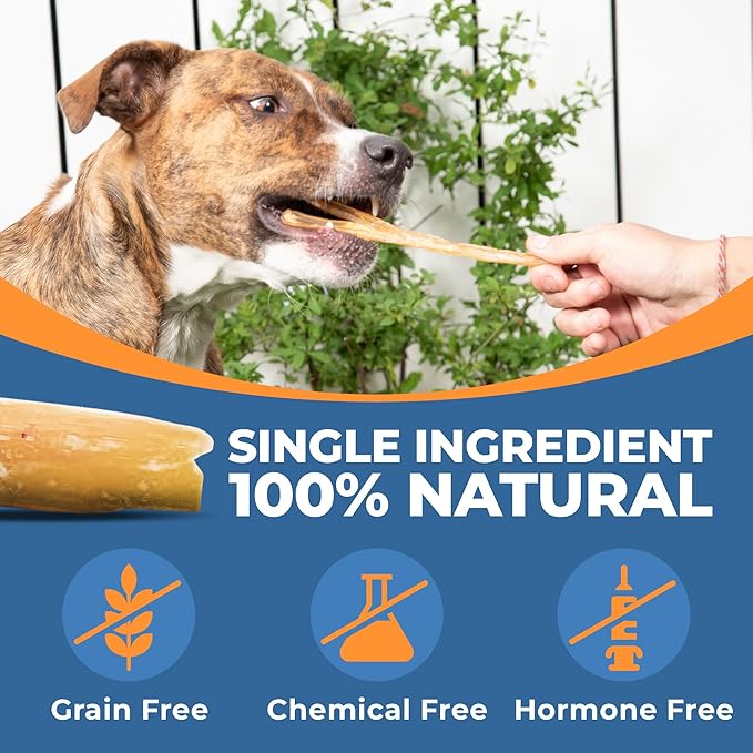 Beef Tendon Chews for Dogs - Single Ingredient All Natural Dog Treats - Dog Chew Sticks for Dogs, 7-9 Inch - Free-Range, Grass-Fed Beef & Rawhide Free (25-Pack)