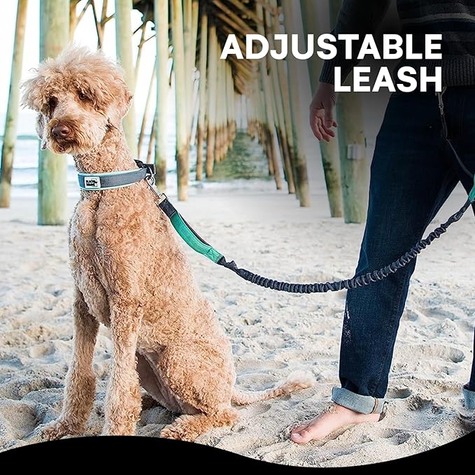 Black Rhino - Premium HANDS FREE DOG LEASH for Running Walking Jogging & Hiking - Adjustable Length Dual Handle Bungee Leash Medium – Large Dogs Neoprene Padded Handles - Running Pouch Included Aqua
