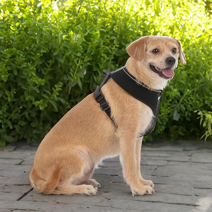 Aerolite No Pull Mesh Dog Harness with Lightweight, Soft, Breathable Chest Coverage, Reflective Stitching, and Adjustable Straps for Walking, Running, Training, Heavy Duty and Durable - Black, XL