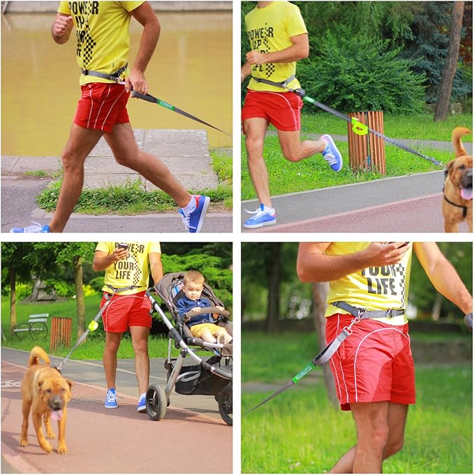 Hands Free Dog Leash for Running +Training Leash Walking & Double Dog Leash Coupler Set, Fits 2 Dogs - Bungee Leash & Reflective Leash - Adjustable Waist Belt & Retractable Leashes Take Yankee