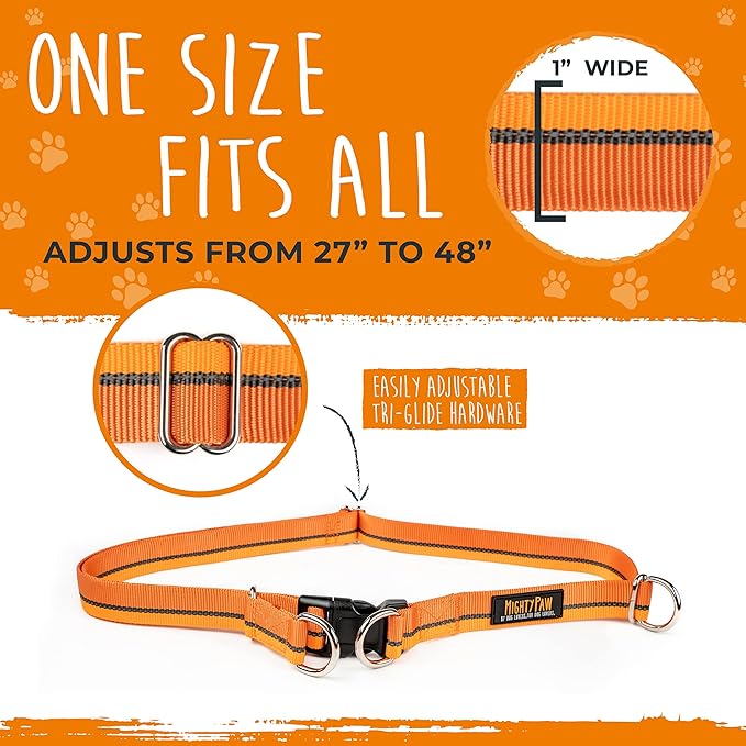 Mighty Paw Hands Free Dog Leash | Bungee Waist Leash for Dog Walking. Dog Running Leash Hands Free. Hands Free Leash for Large Dogs, Medium & Small Dogs. Dog Leash Waist Belt (36" - 48") Up To 150 lbs