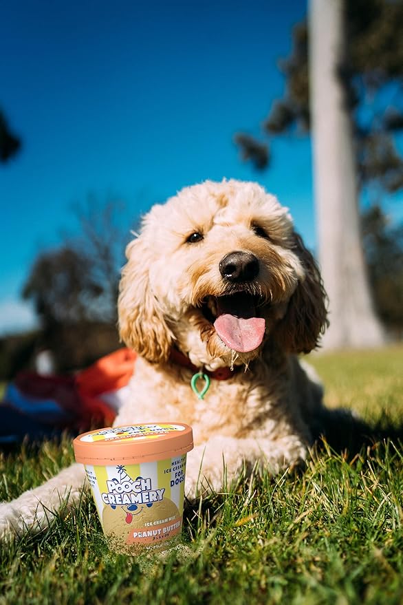 Pooch Creamery Ice Cream Mix for Dogs - Peanut Butter …