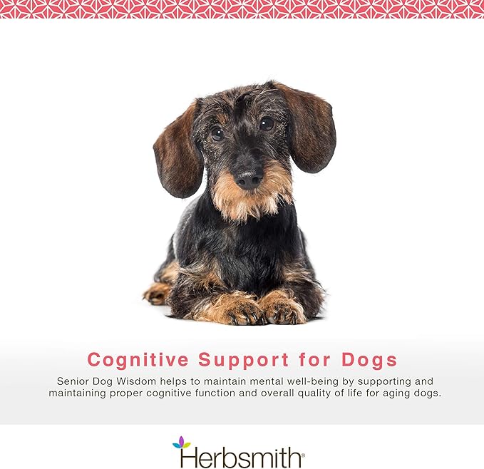 Herbsmith Senior Dog Wisdom – Dog Dementia Supplement – DHA for Senior Dog Brain Health - Senior Supplement for Dogs- 500g