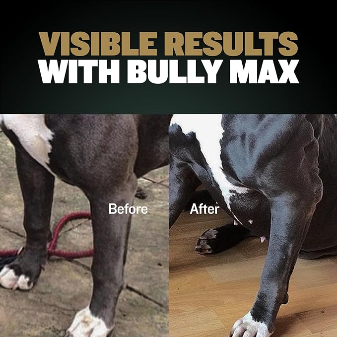 Bully Max 11-in-1 Muscle Gain Power Chews - High Protein Dog Food Health Supplement for Puppy and Adult Dogs | Premium Muscle Builder for All Breeds with Natural Ingredients - 75 Tasty Soft Dog Chews