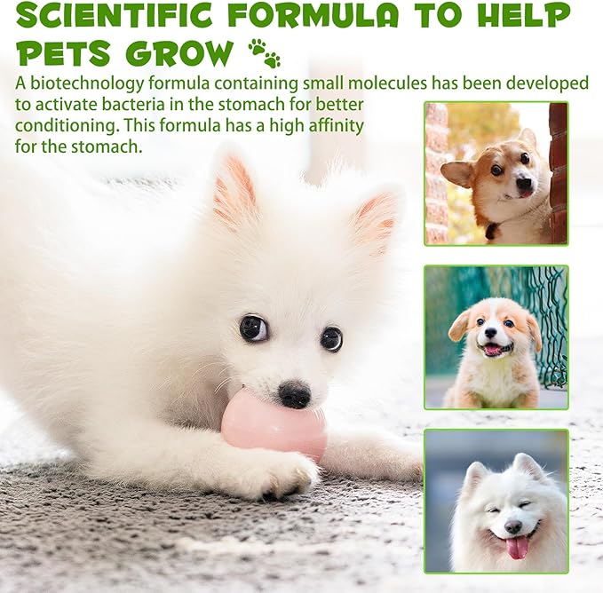 Probiotic for Dogs, 2 Pack Natural 3 in 1 Dog Probiotic Drops Helps to Diarrhea & Upset Stomach Relief, Supports Healthy Digestive System, Allergies, Digestive Enzyme for Dog, Bacon Flavor - 60ml x 2