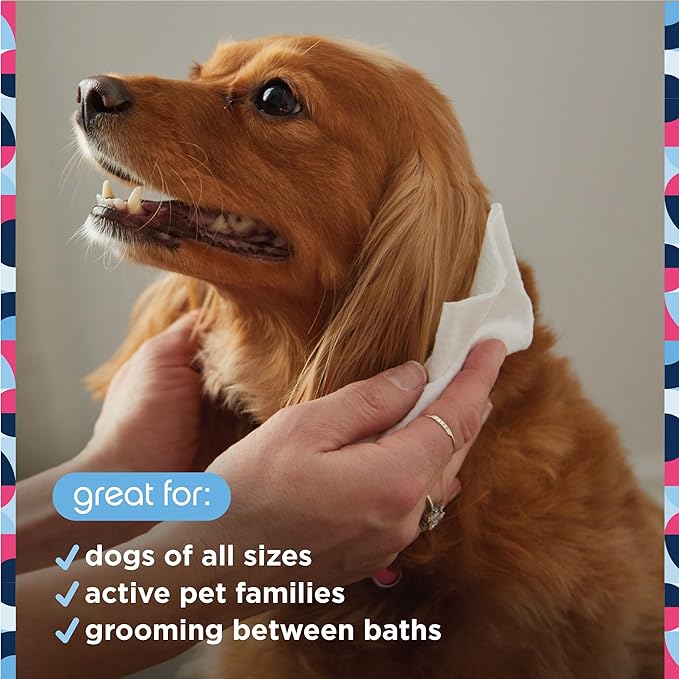 Pet Wipes for Dogs, Dog Cleaning Wipes - Plant-Based Dog Wipes with Moisturizing Aloe Leaf & Calendula - Made in The USA - Fragrance Free Dog Grooming Wipes - 72ct (Pack of 1)