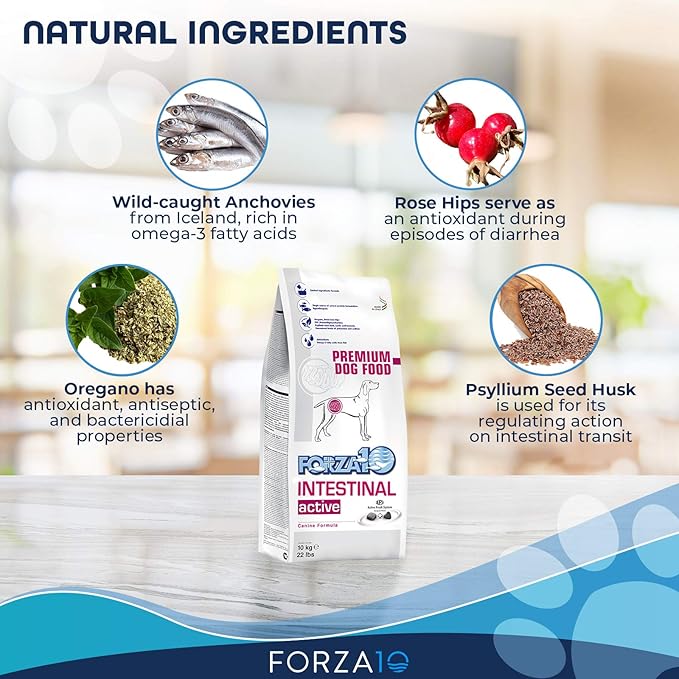 Forza10 Active Dry Intestinal Dog Food, Gastrointestinal Dog Food, Digestive and Intestinal Diet Dry Dog Food for Adult and All Breeds