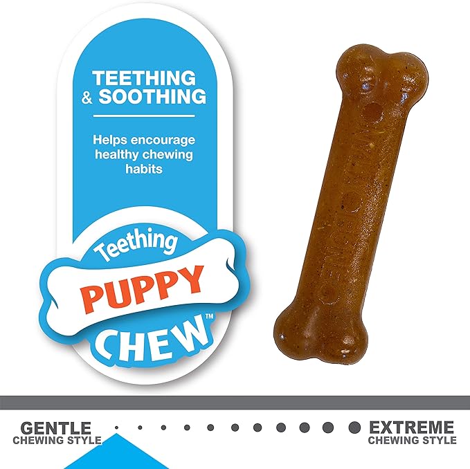 Nylabone Classic Puppy Chew Toy Twin Pack - Puppy Chew Toys for Teething - Puppy Supplies - Chicken & Peanut Butter Flavor, X-Small/Petite, 2 Count (Pack of 1)
