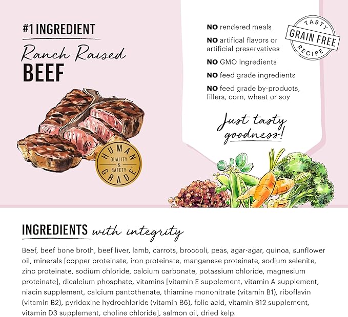 The Honest Kitchen Butcher Block Pâté: Beef, Lamb & Spring Veggies Wet Dog Food, 10.5 oz (Pack of 6)