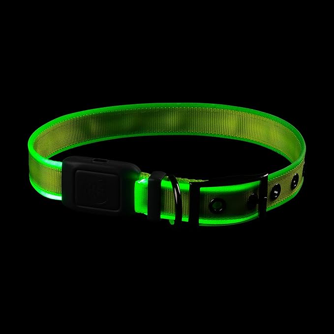 Nite Ize NiteDog Rechargeable LED Collar - Light Up Dog Collar with Durable Metal Buckle - Water-Resistant & Rechargeable Collar - Dog Supplies for Night Activities - Large, Lime