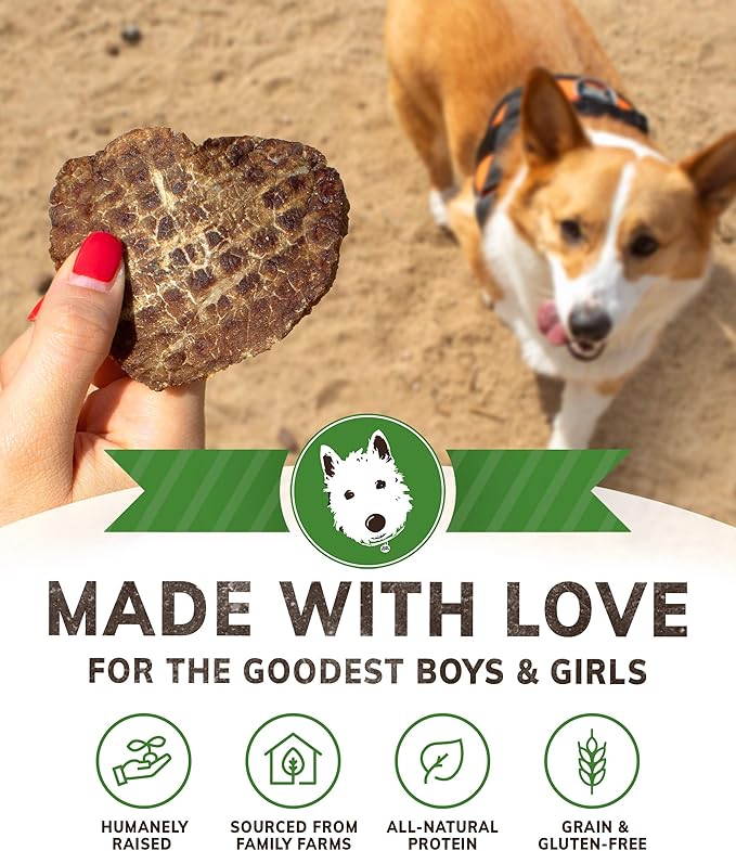 Wiley's Beef Jerky Pet Treats | Grain Free Dog Jerky Treats Made in USA | All Natural Pet Treats for Dogs | Beef Dog Treats (Beef, 16 oz. bag)