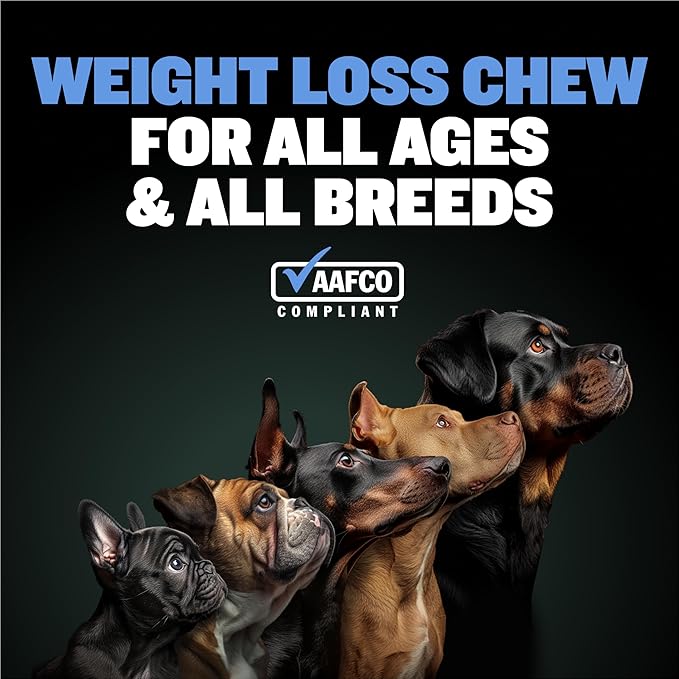 Bully Max 2-in-1 Dog Weight Loss Supplement Chews for Adult & Senior Dogs - Dog Food Supplements for Immunity, Joint Health & Weight Control - Dog Treats for Small & Large Breeds - 75 Soft Chews