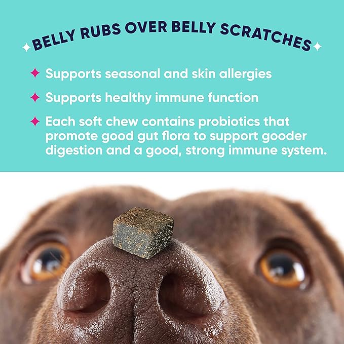 GoodGood Allergy + Immune Dog Supplements; Supports Seasonal Allergies; Chewable Soft Treats with Echinacea; Probiotics; Vet Formulated; 90 Natural Flavor Chews