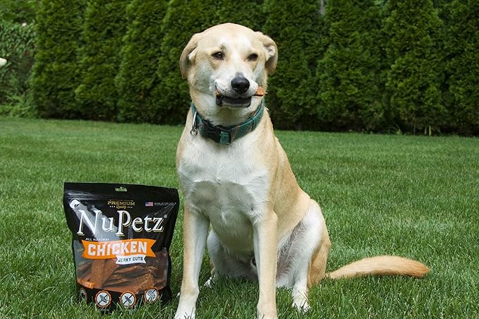 Natural Real Chicken Jerky Cuts - 2.5 lbs - Premium Dog Treats, Real Chicken, No Corn- Wheat-Soy, Training & Reward, Made in The USA