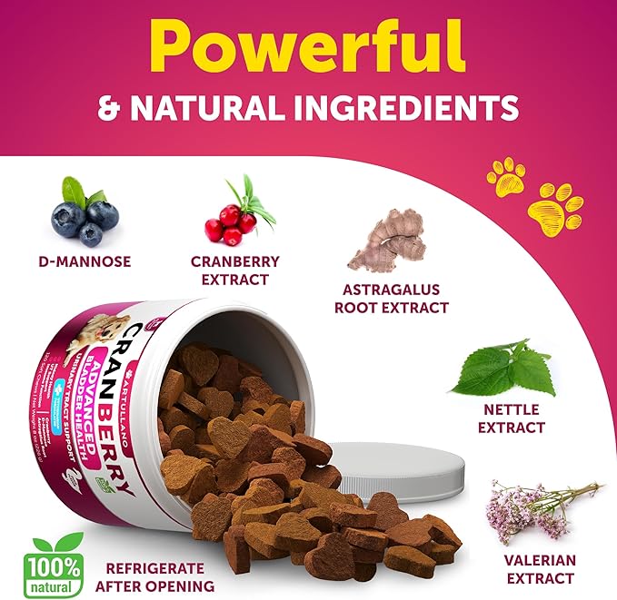 Dog UTI Treatment - Cranberry Supplement for Dogs - Bladder Control for Dogs - Dog Urinary Tract Infection Treatment - UTI Medicine for Dogs - Dog Cranberry Supplement - Kidney Support - 120 Chews
